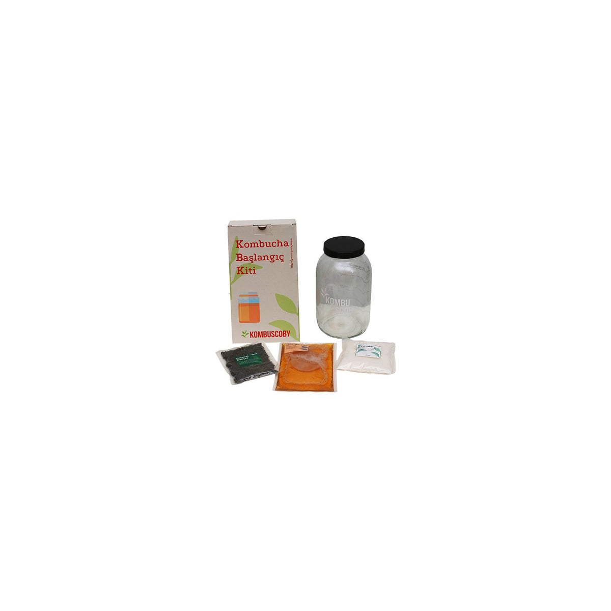 Kombu Scoby Mantari - Kombucha Kulturu - Kombucha Scoby - Kombu tea Mini Kit - MALLTURK