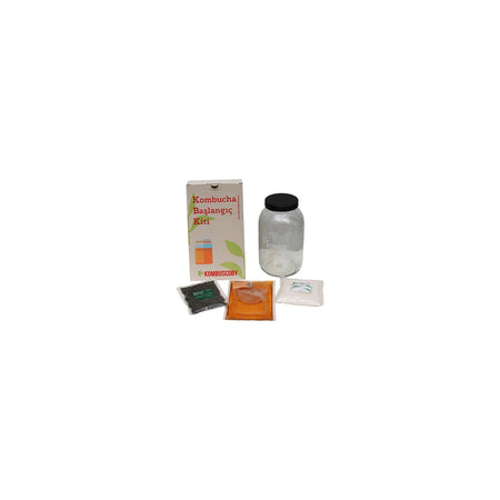 Kombu Scoby Mantari - Kombucha Kulturu - Kombucha Scoby - Kombu tea Mini Kit - MALLTURK