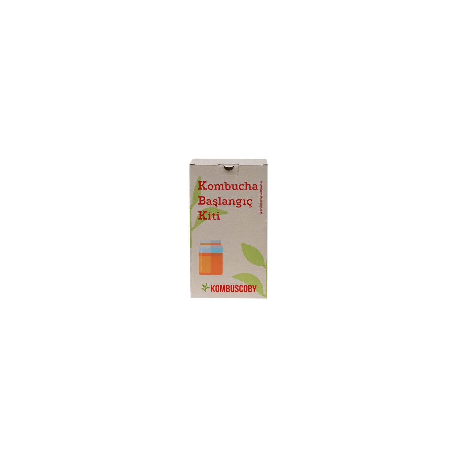 Kombu Scoby Mantari - Kombucha Kulturu - Kombucha Scoby - Kombu tea Mini Kit - MALLTURK