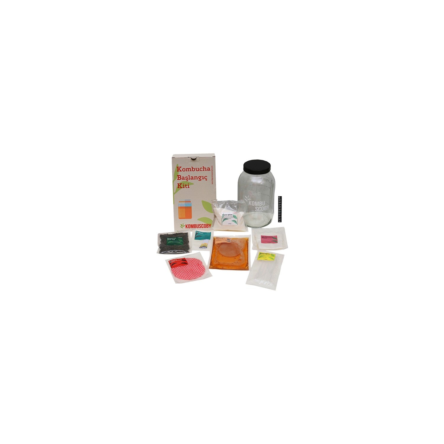 Kombu Scoby Mantari - Kombucha Kulturu - Kombucha Scoby - Kombu tea Maksi Kit - MALLTURK