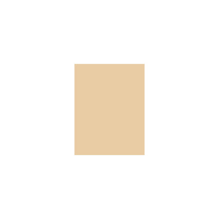 Flormar Tinted Moisturizer