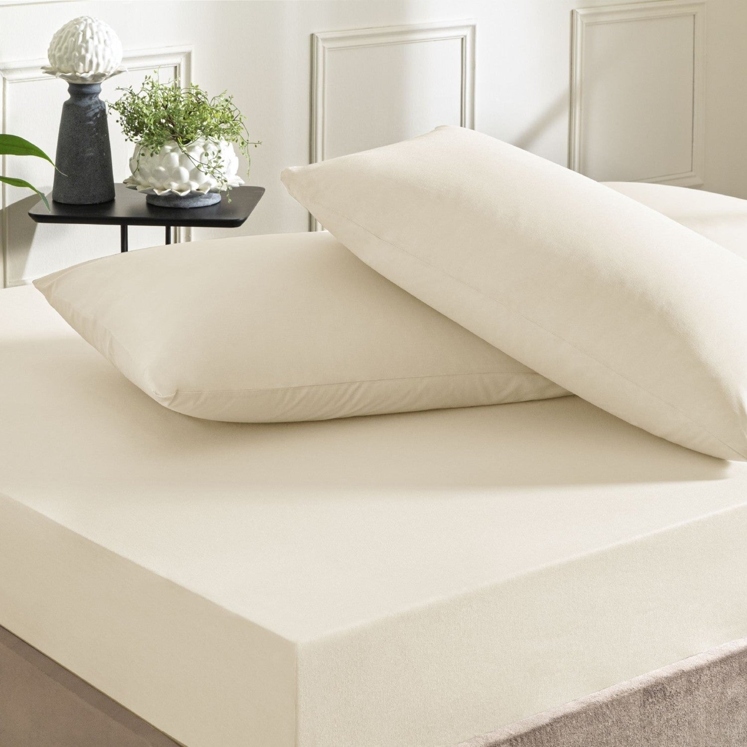 Tac color dreams ranforce Double Bed Sheet Set Ecru - MALLTURK
