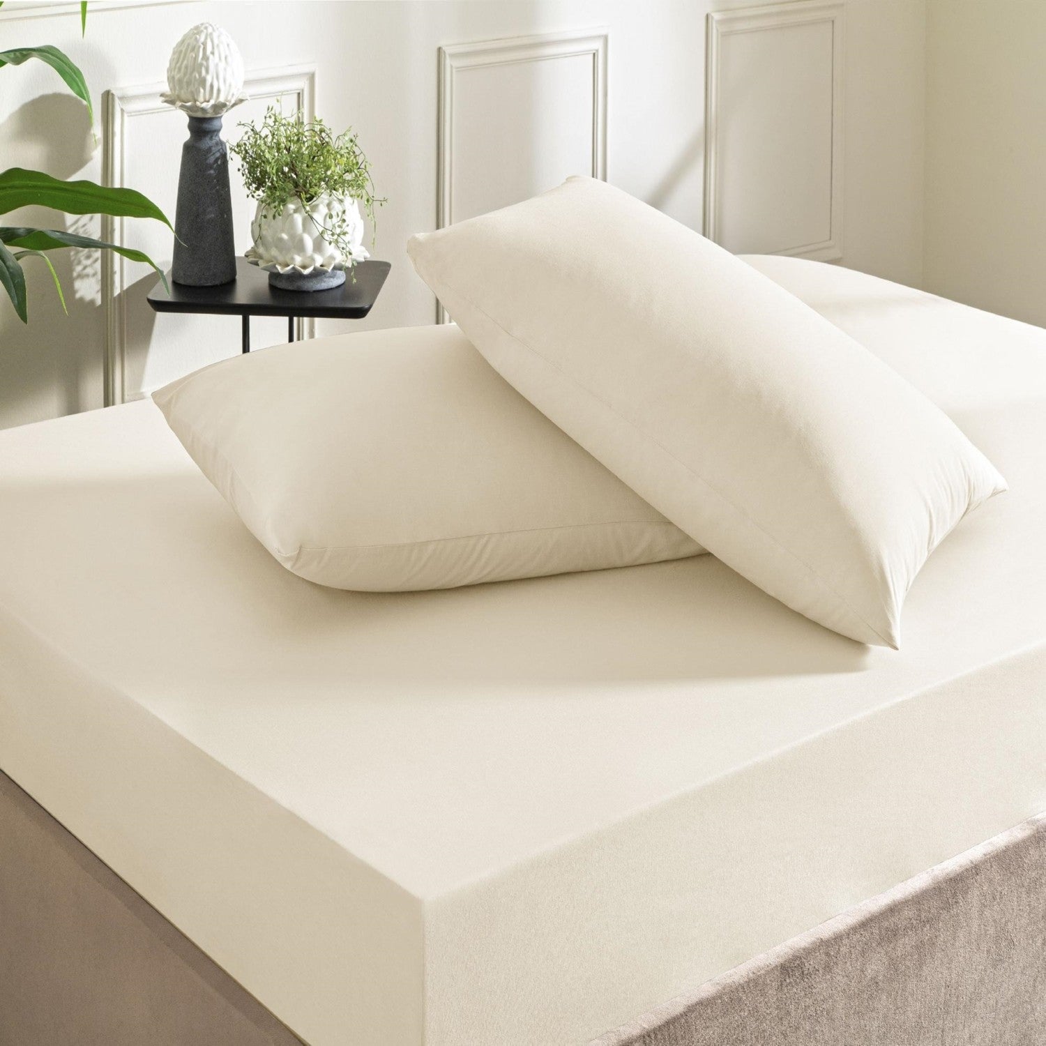 Tac color dreams ranforce Double Bed Sheet Set Ecru - MALLTURK