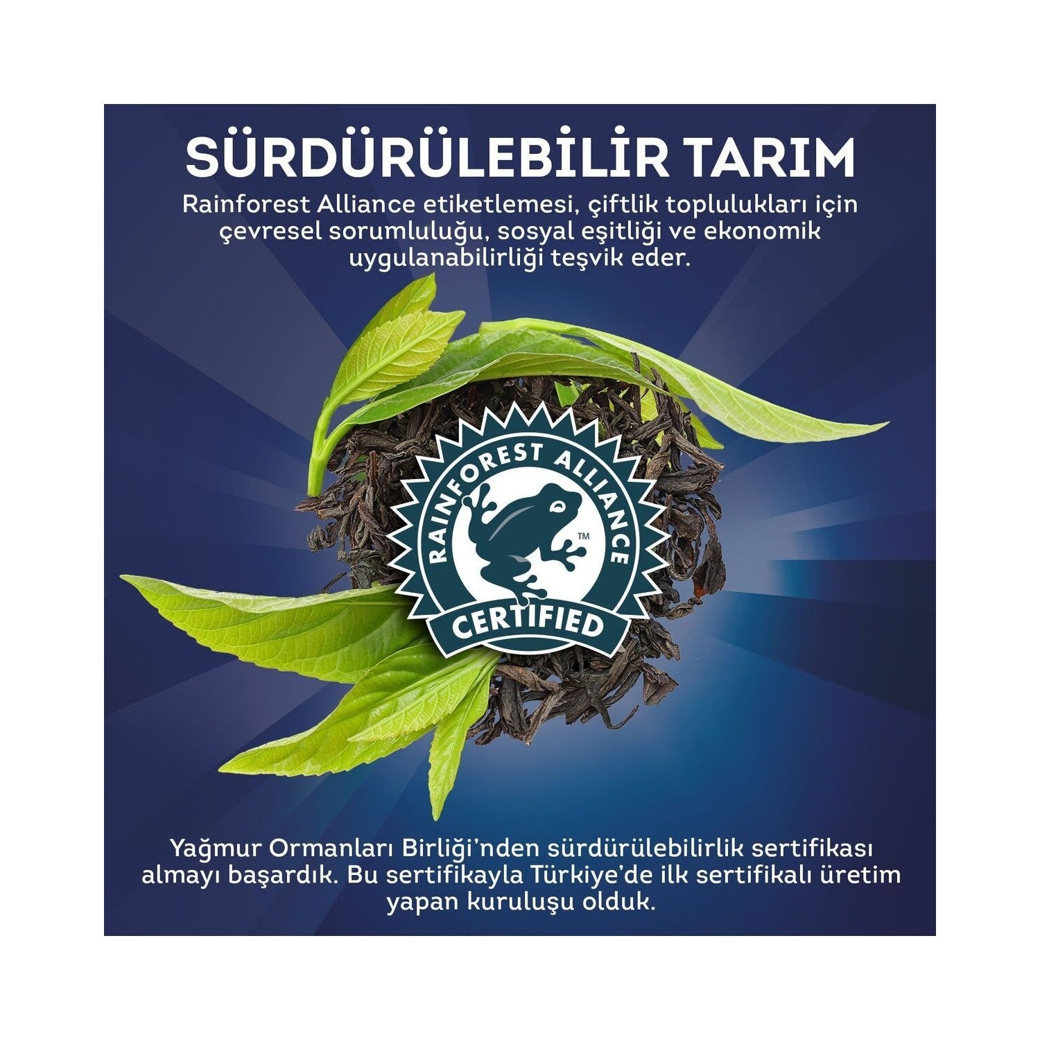 Lipton Extra Yogun Early Grey bud 100 g - MALLTURK