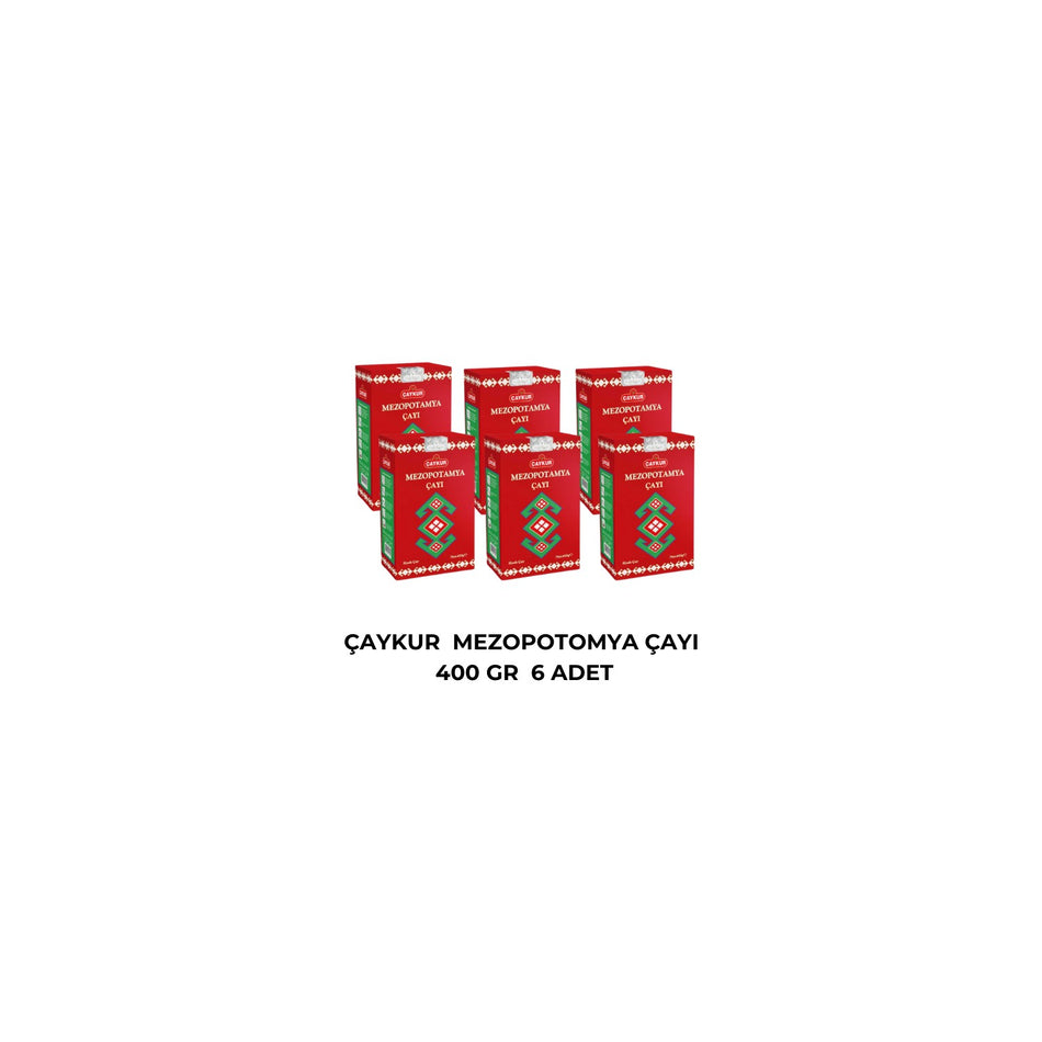 Caykur Mezopotamya tea 400 g 6 pieces - MALLTURK