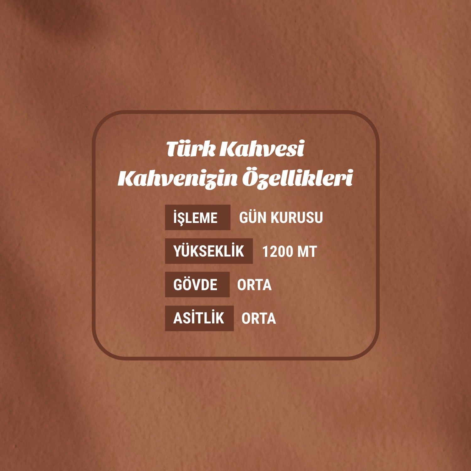 Taxo Coffee Turkish Coffee 250g - MALLTURK