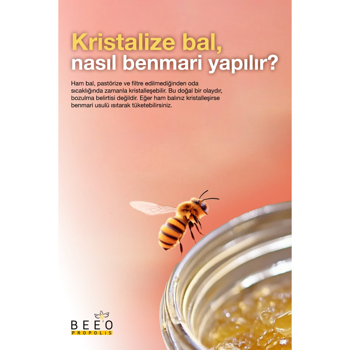 BEE'O Hakkari Region Wildflower Honey 300 g Natural Polifenol Kaynagi and Pure Lezzet