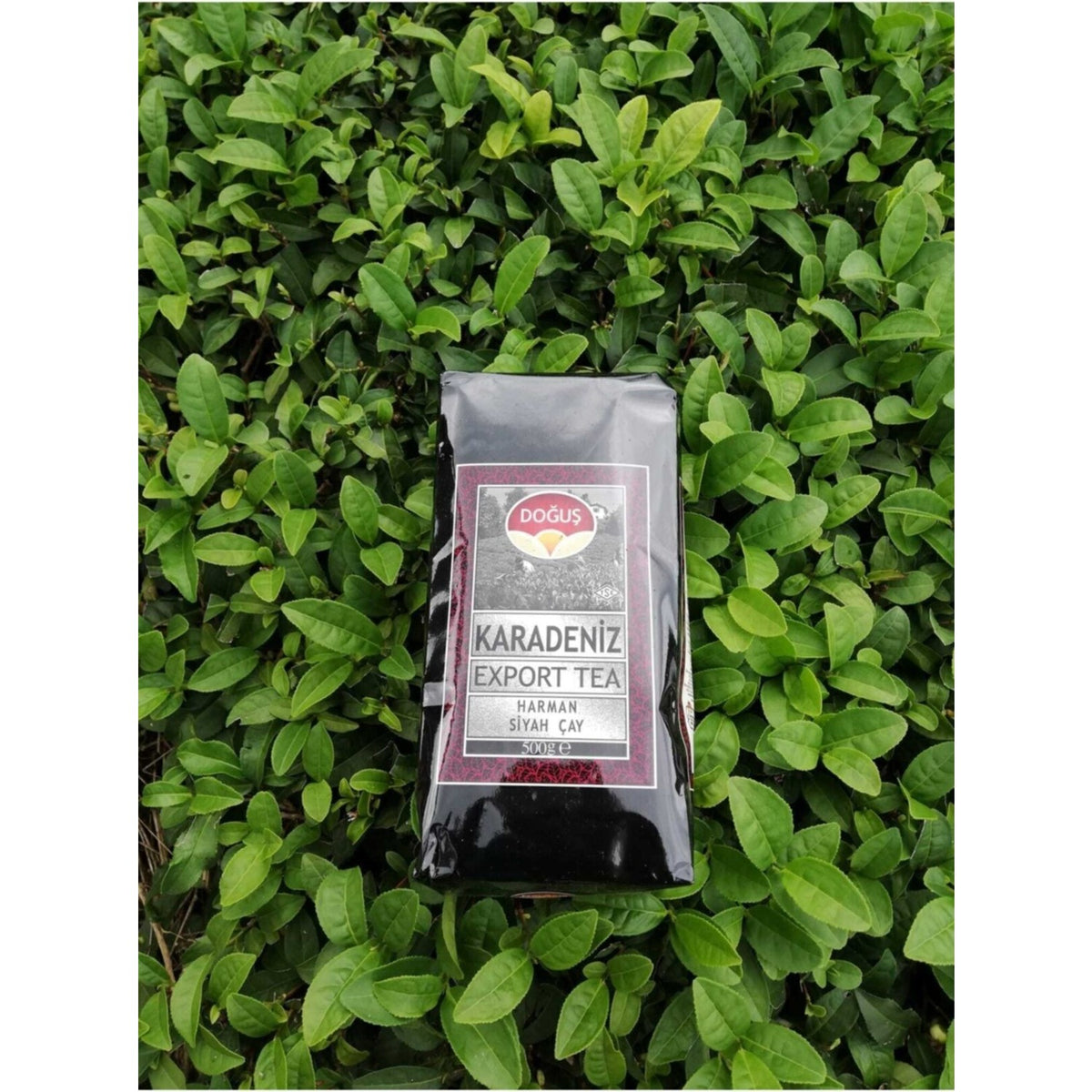 Dogus Export Karadeniz 500 g 10 pieces 1 case - MALLTURK