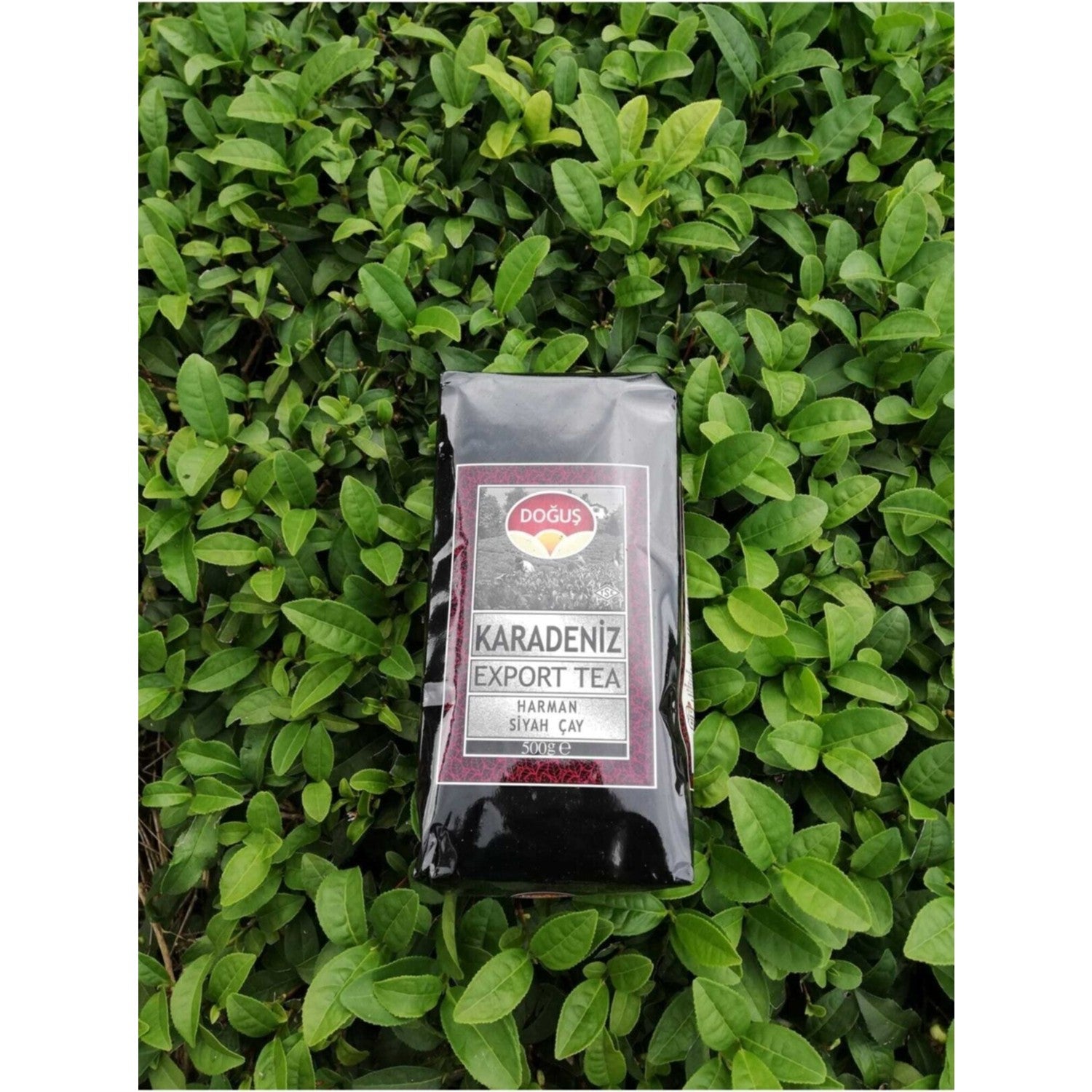 Dogus Export Karadeniz 500 g 10 pieces 1 case - MALLTURK