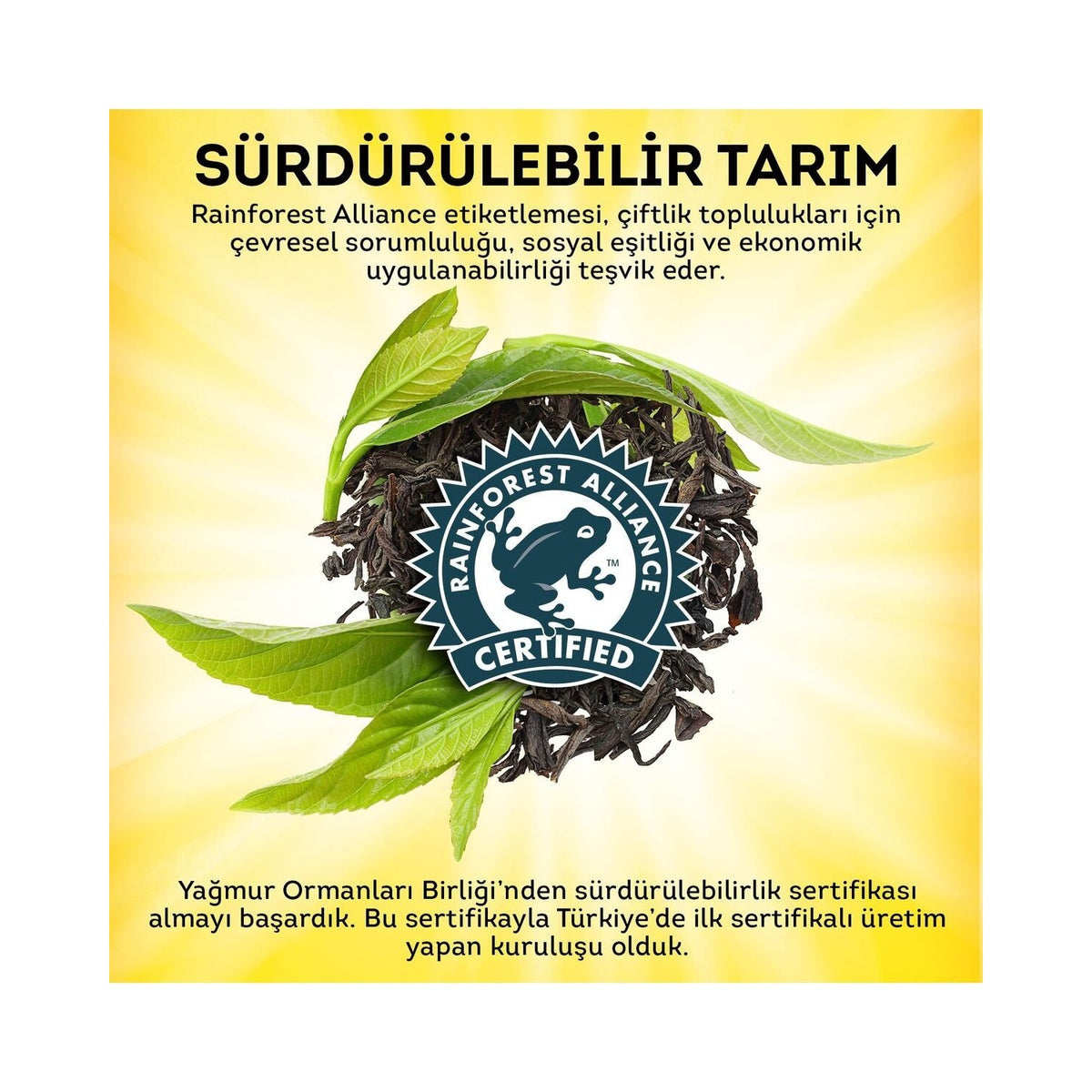 Lipton tea Dogu Karadeniz bergamot flavored tea 1000 g x 9 pieces - MALLTURK