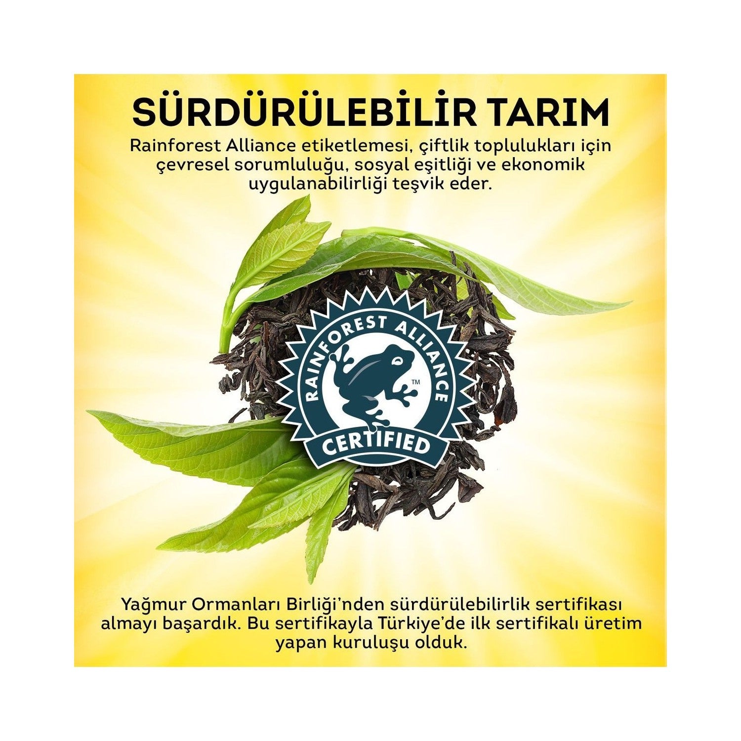 Lipton tea Dogu Karadeniz bergamot flavored tea 1000 g x 9 pieces - MALLTURK