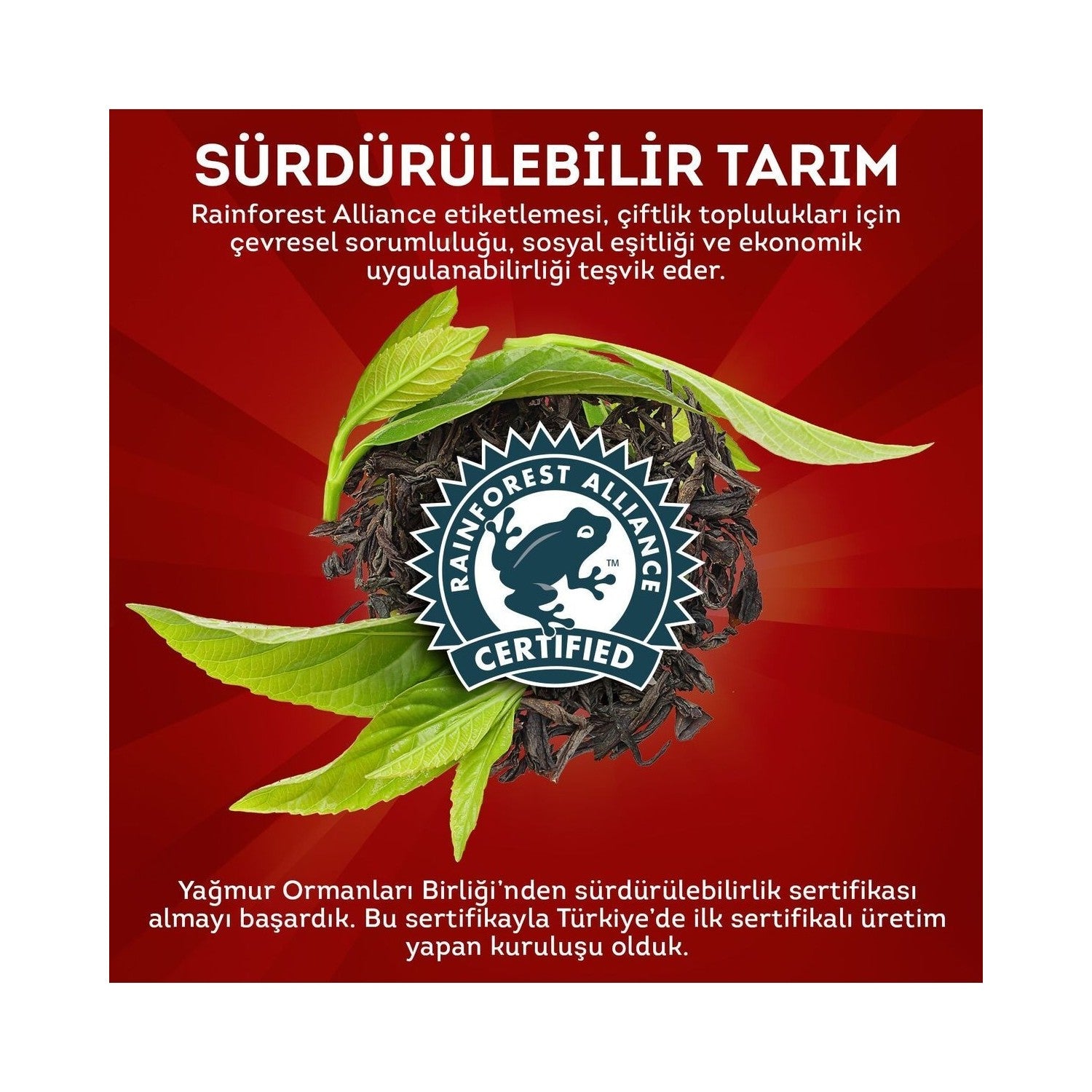 Lipton Extra Dem black tea 500 G ( 5 pieces ) - MALLTURK