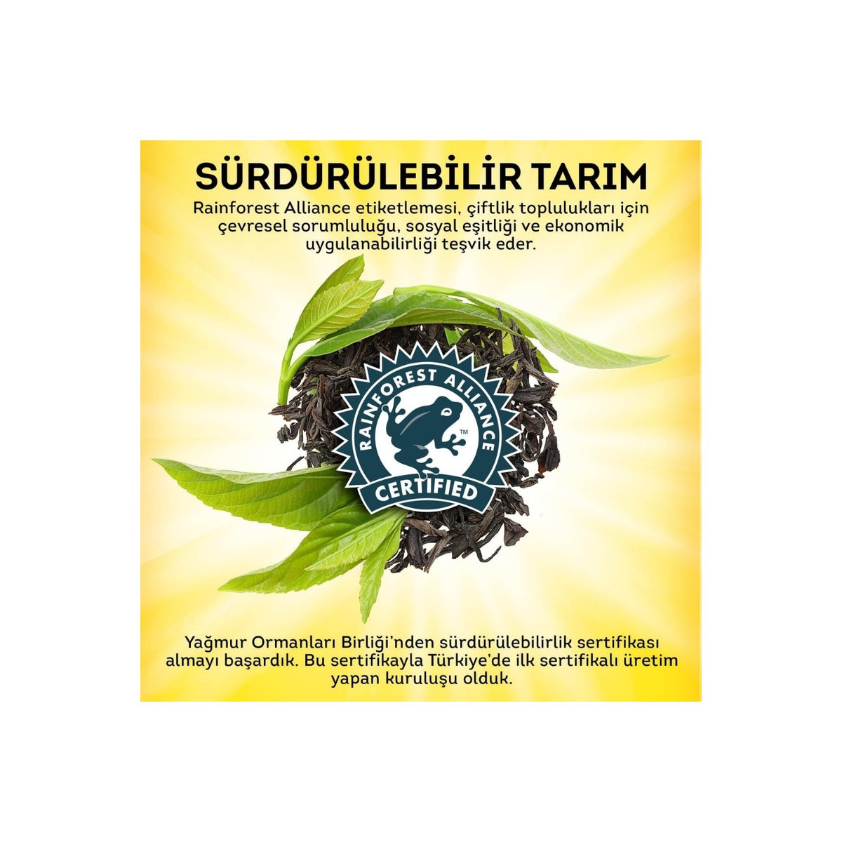 Lipton loose leaf black tea, Dogu Karadeniz, 1000 Gram pack, flavorful - MALLTURK