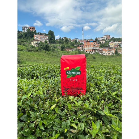 Kosem tea sprout 1000 g x 5 pieces - MALLTURK