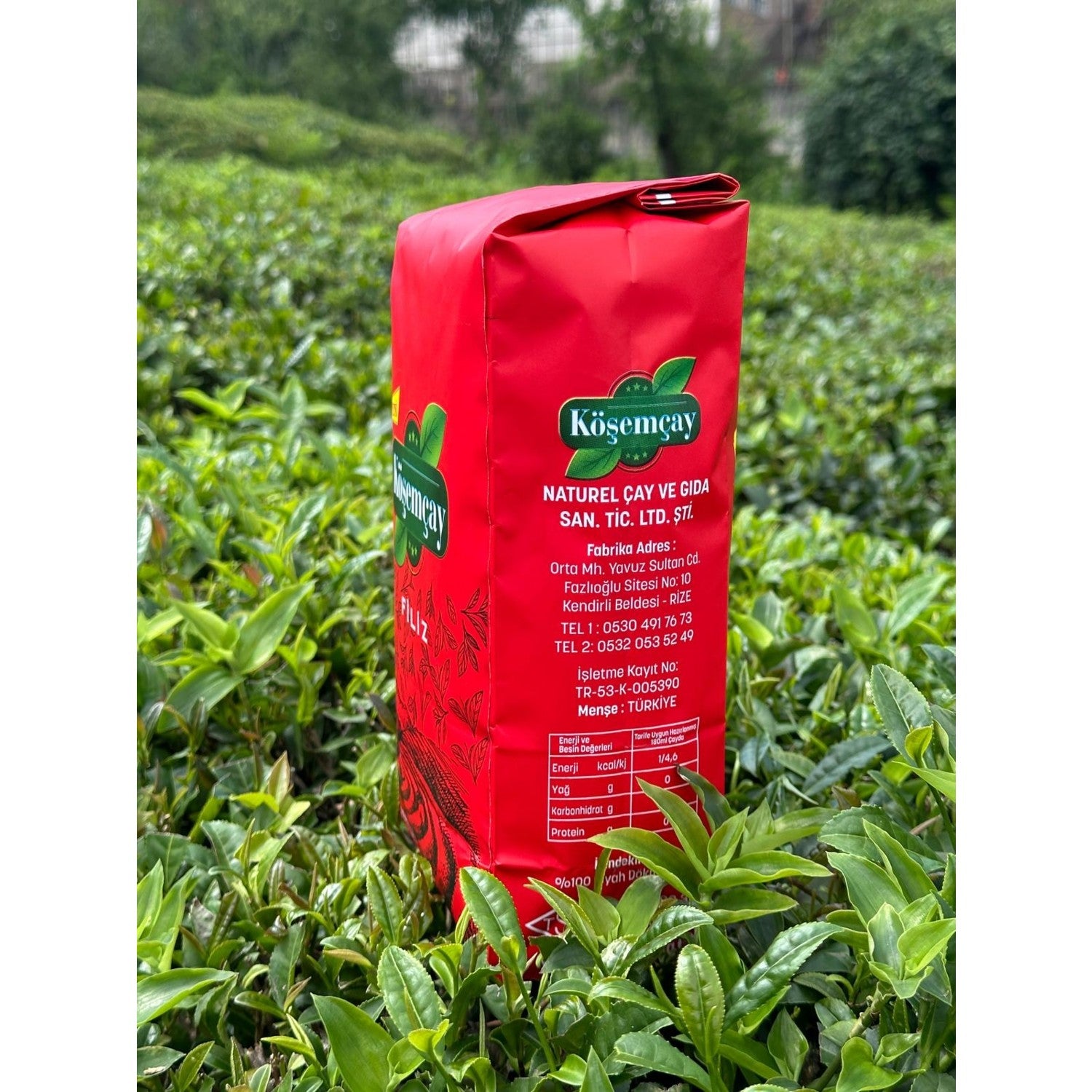 Kosem tea sprout 1000 g x 5 pieces - MALLTURK