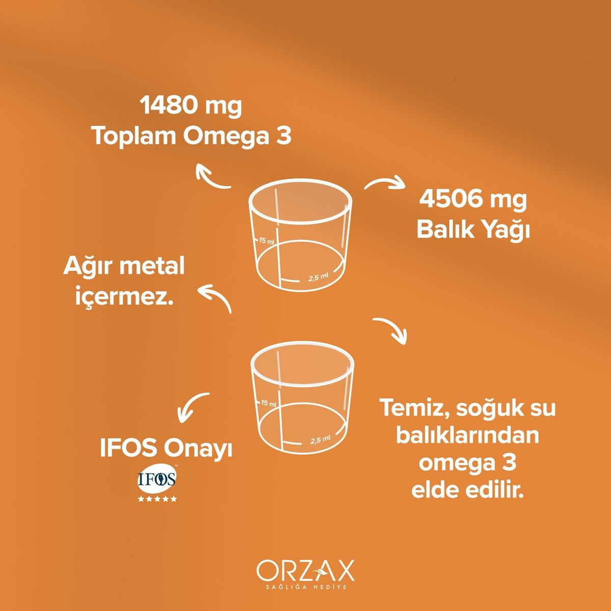 Orzax Ocean Fish Oil Orange Flavor Syrup 150 ml - MALLTURK