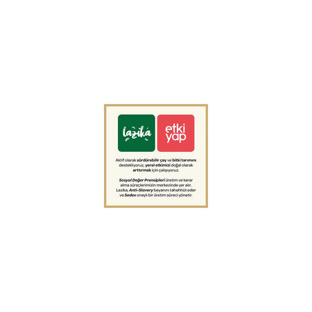 Lazika Iki Kisilik tea Seti - black tea 400 g, bergamot flavored Demlik bags, green tea 50 g, Sekine - MALLTURK