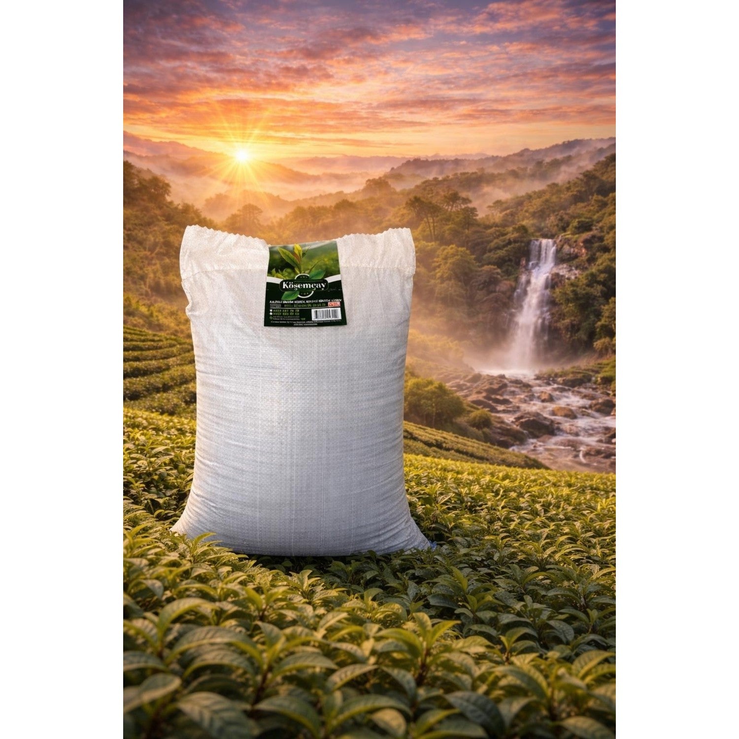 Kosem tea ilk hasat 5 kg elek alti mayis tea - MALLTURK