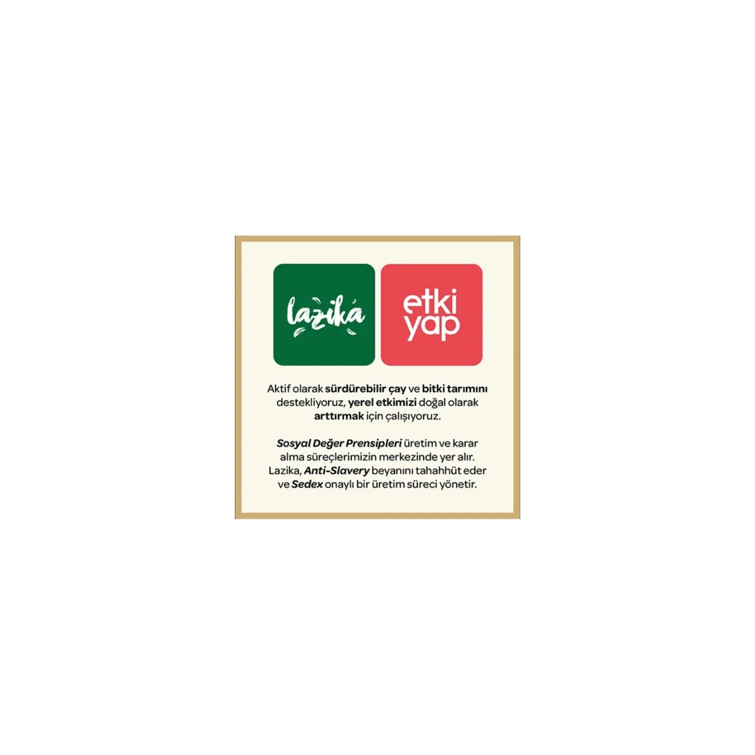 Lazika Turk Yaprak Siyah tea 300 g - Ilk Hasat Mayis tea, Tozsuz, Camlihemsin - MALLTURK