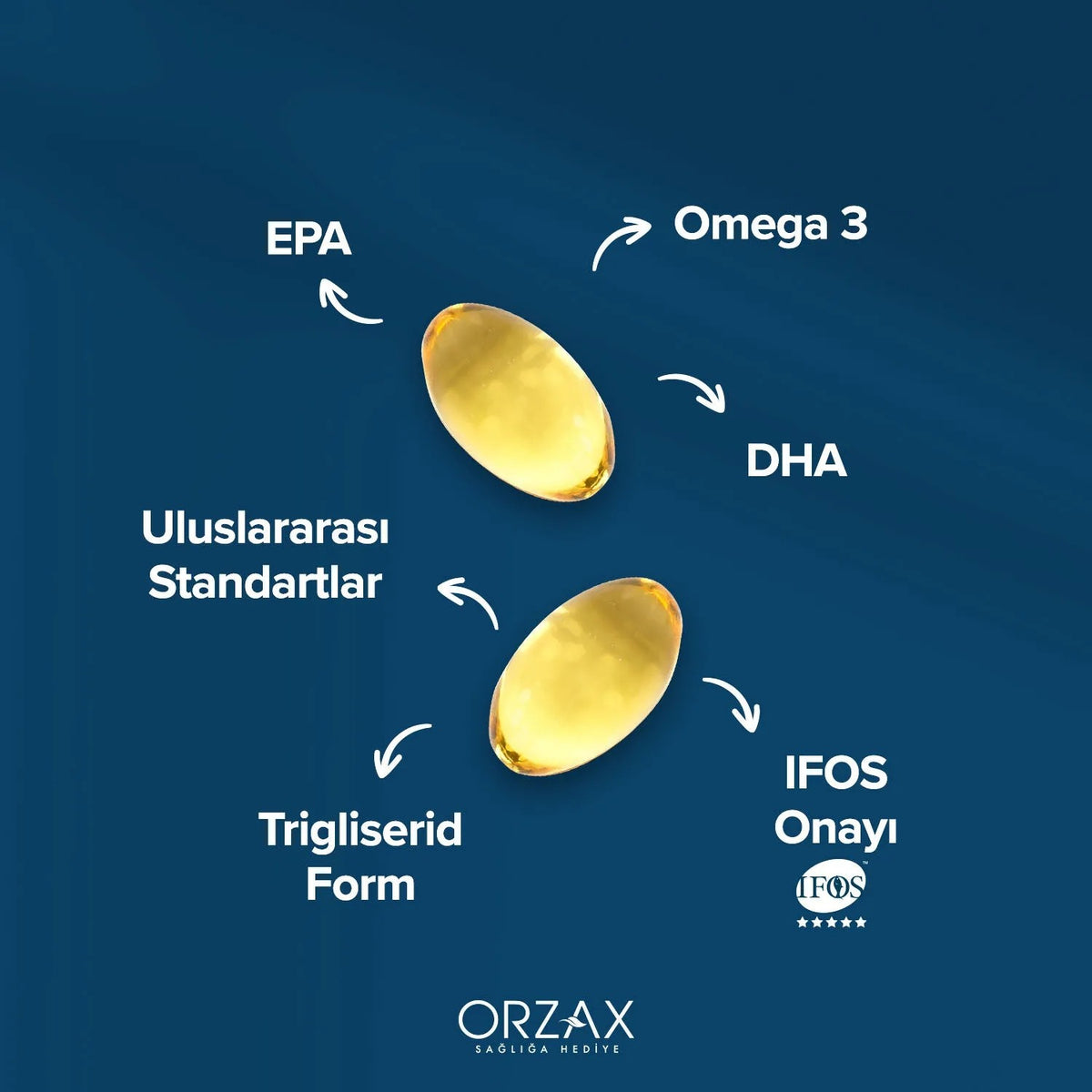 Orzax Ocean 500 mg Fish Oil 60 Capsule - MALLTURK