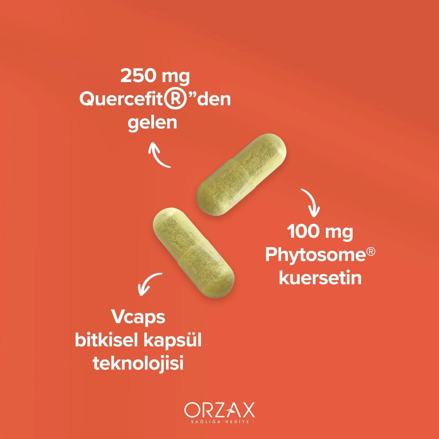 Orzax Ocean Quercetin 100 Mg 60 Capsule Turkey Origin Dietary Supplement Fitozomal Kuersetin - MALLTURK