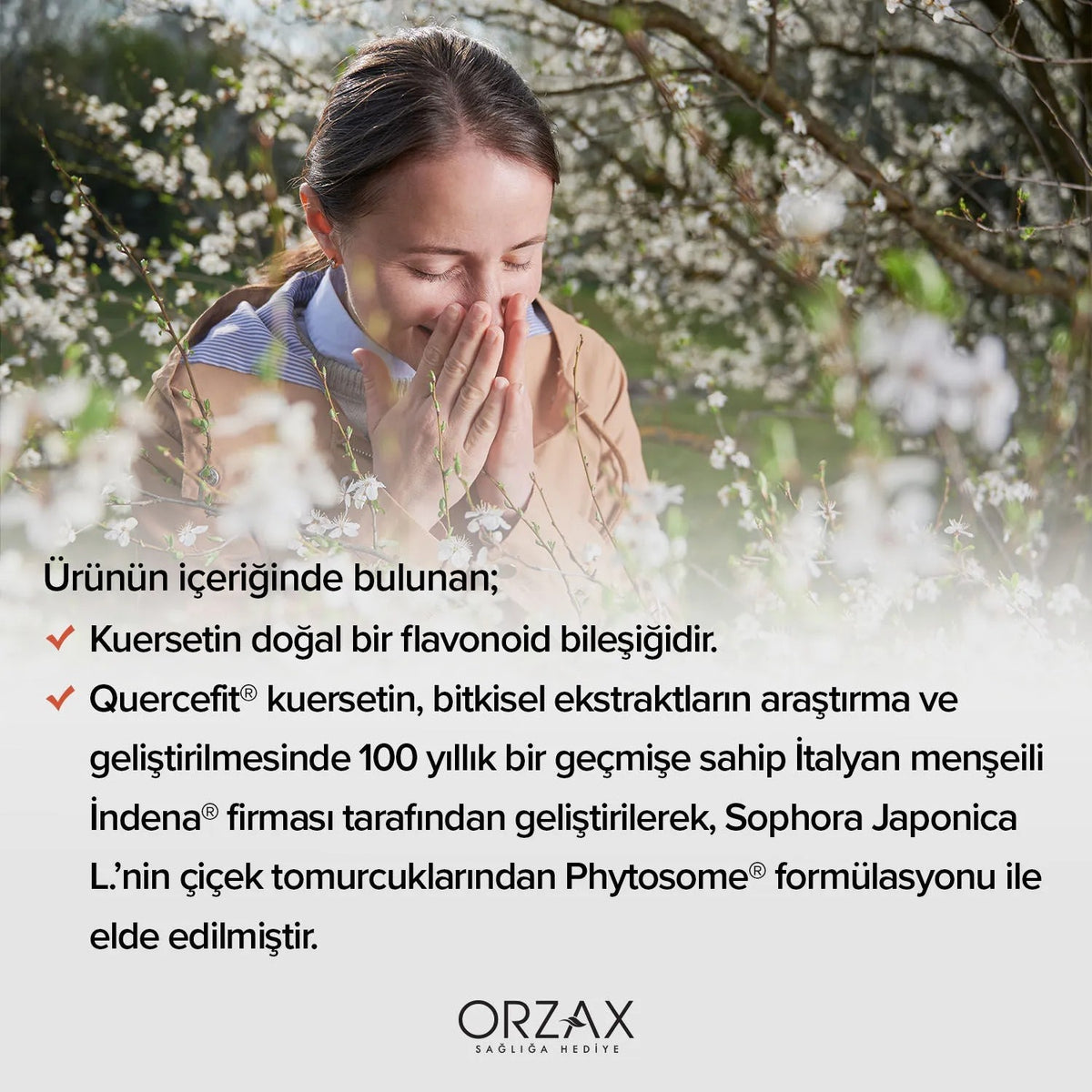 Orzax Ocean Quercetin 100 Mg 60 Capsule Turkey Origin Dietary Supplement Fitozomal Kuersetin - MALLTURK