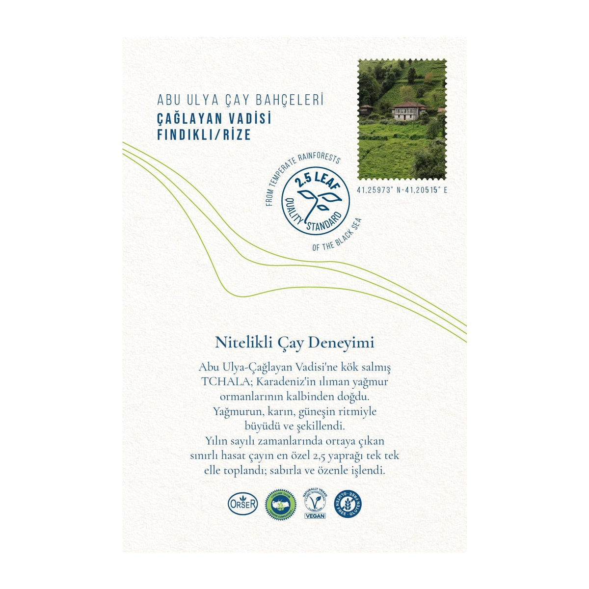 Tchala Tea Simply Green Master's Select green tea 75 g - MALLTURK