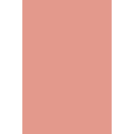 Flormar Baked Blush-On