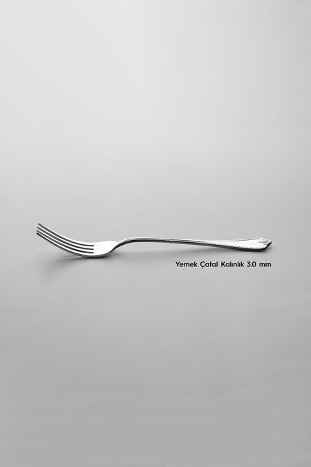 Nehir fulya Plain 12 Place Setting 72 Piece Boxed Flatware Set - MALLTURK