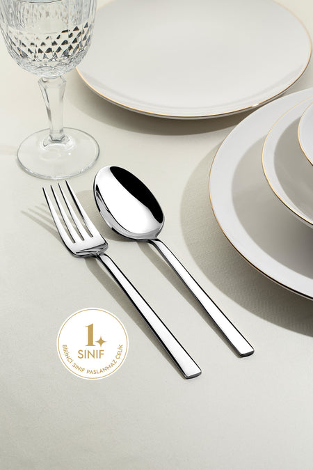 Nehir dalyan Plain 12 Place Setting 60 Piece Boxed Fork Spoon Set - MALLTURK