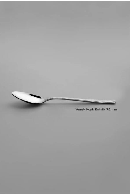 Nehir katre Plain 72 Piece karton Boxed Flatware Set - MALLTURK