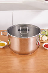 Karaca Grace Induction Compatible Pot - MALLTURK