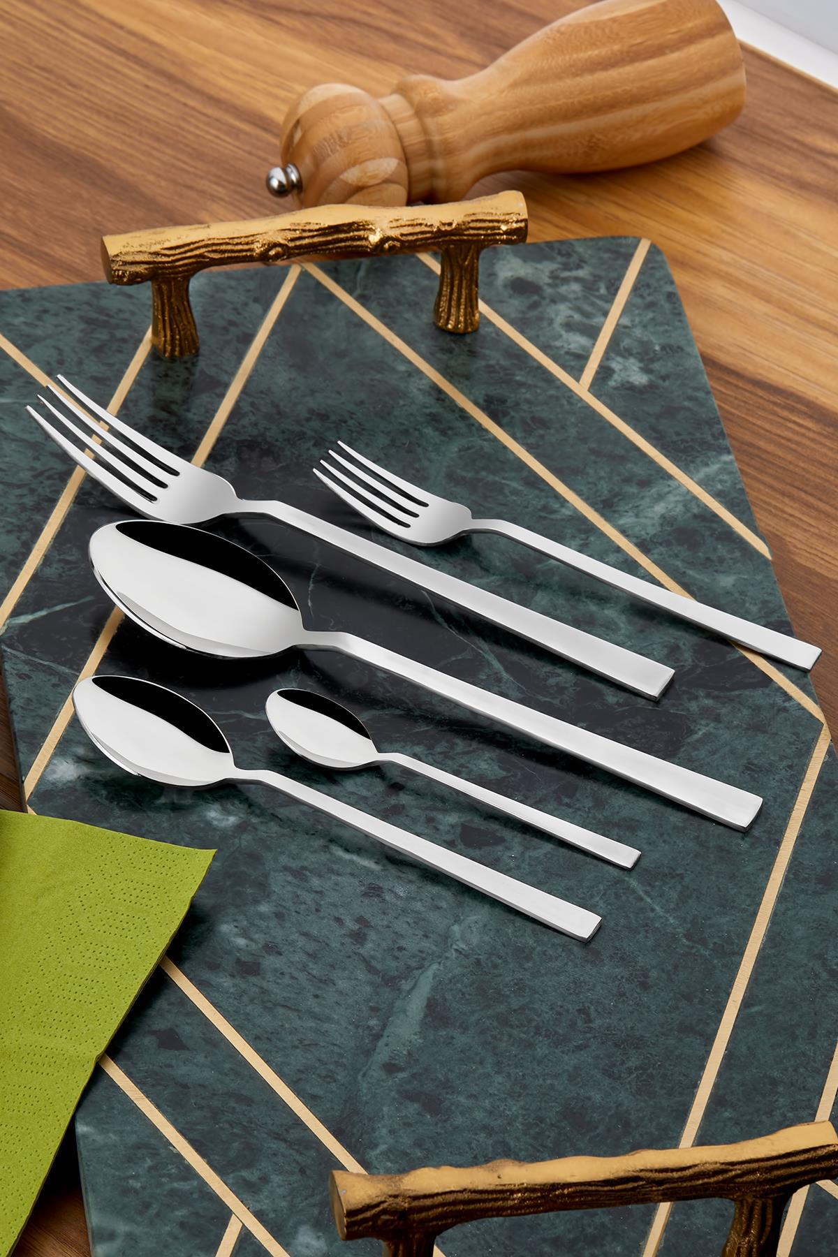 Tac felina viento 60 Piece 12 Place Setting Fork Spoon Set 18 10 Stainless Steel 304 kalite - MALLTURK