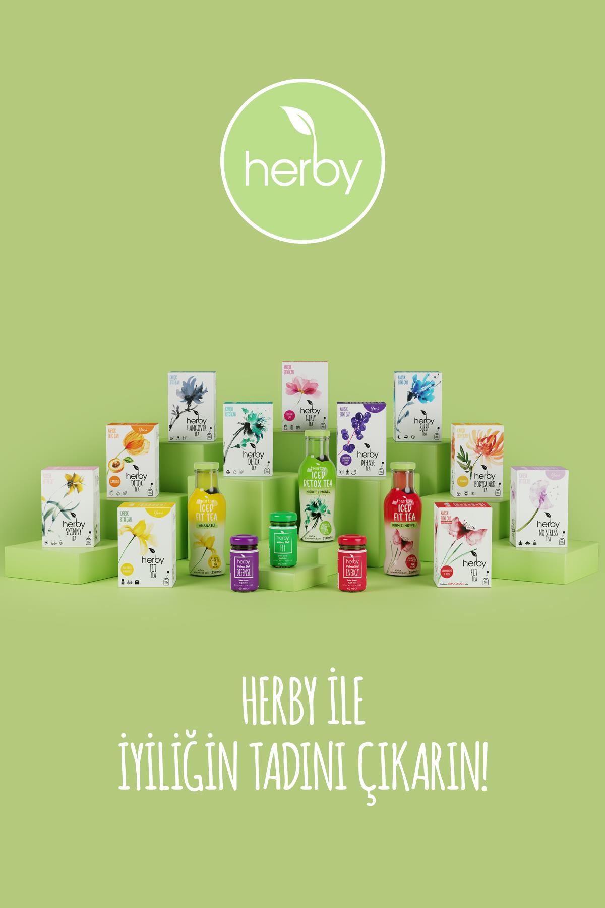Herby No Stress Tea Relaxing Herbal Tea with Passion Flora, 4-Pack - MALLTURK