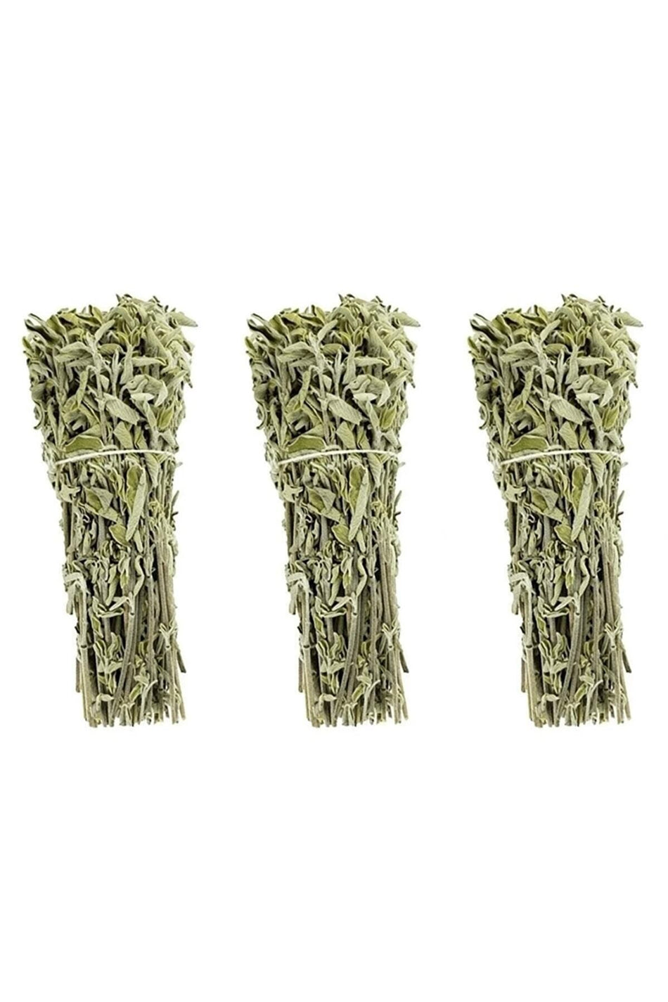 ASTERA 3 Bungkus Sage Gunung Panen Baru (Sage Abu-Abu Chalba)