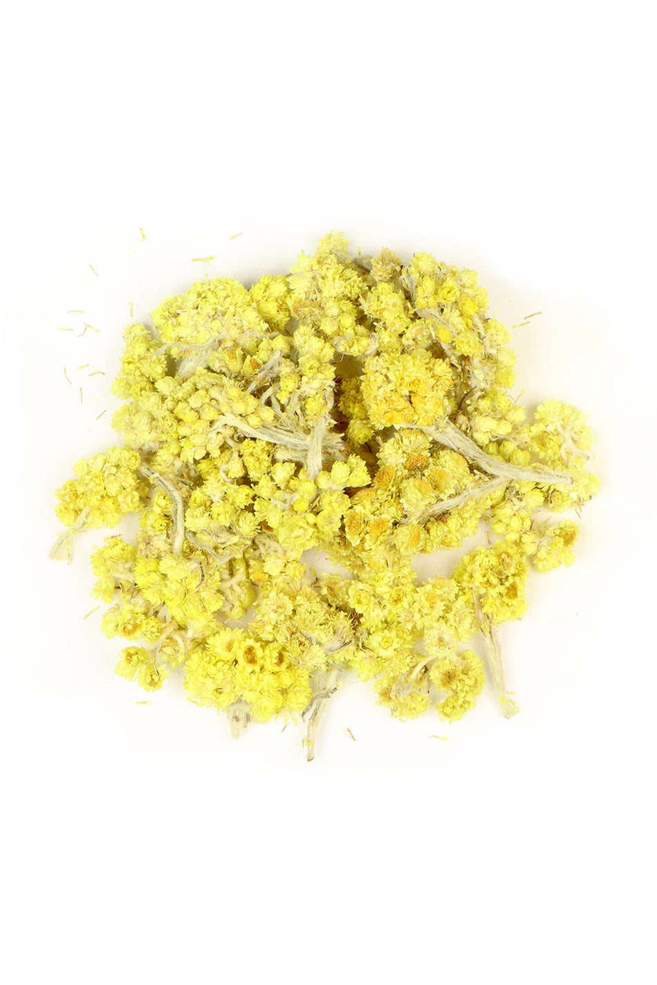 SELNUS guldenroedebundel 75-100 gram (strobloem, Helichrysum arenarium) guldenroede