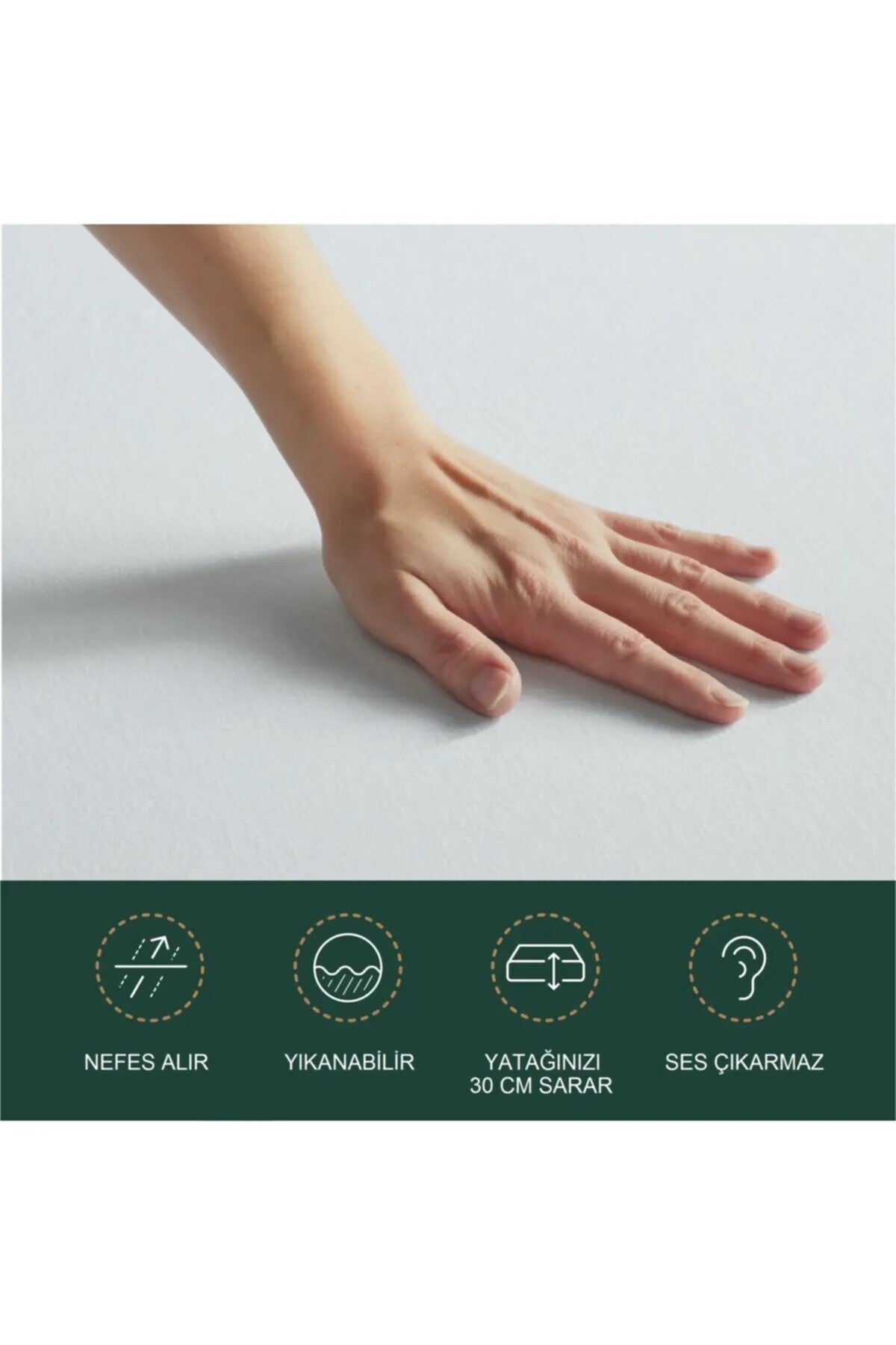 Mira Home Cotton Fitted Mattress Protector - MALLTURK