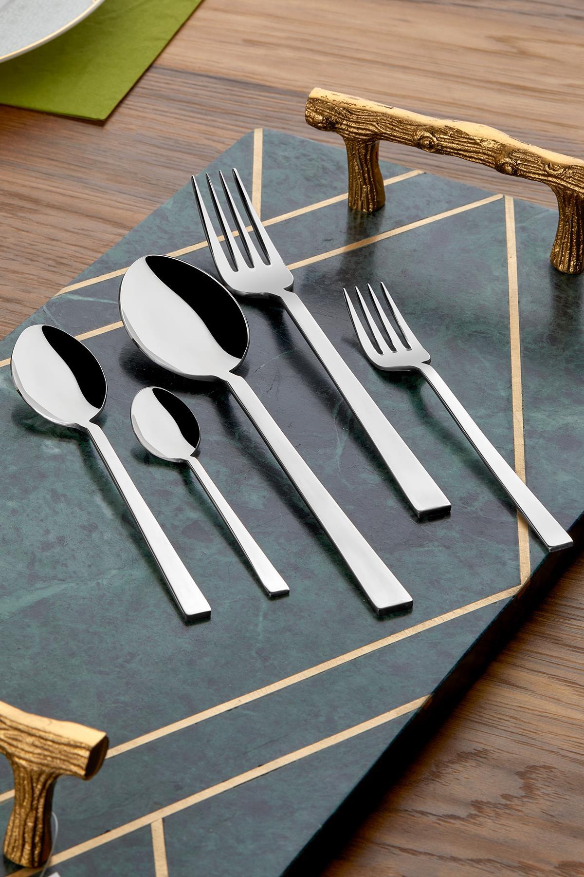Tac felina viento 60 Piece 12 Place Setting Fork Spoon Set 18 10 Stainless Steel 304 kalite - MALLTURK