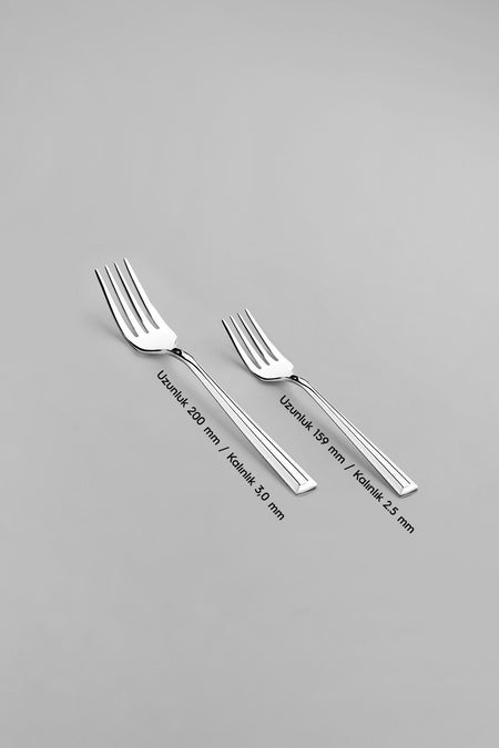 Nehir milano Plain 12 Place Setting 60 Piece Boxed Fork Spoon Set - MALLTURK