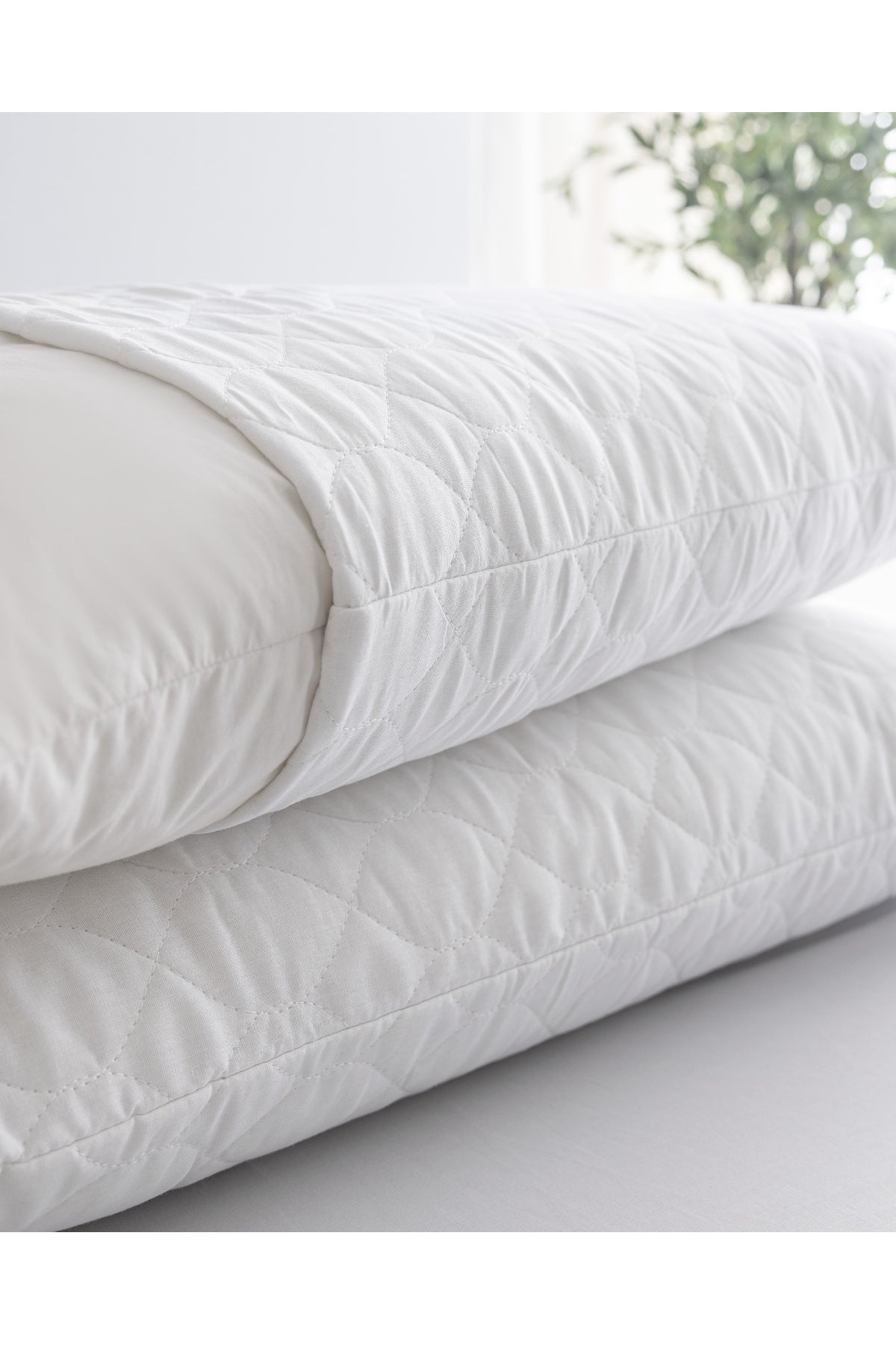 Madame Coco Crispy Cotton Quilted Pillow Protector - MALLTURK