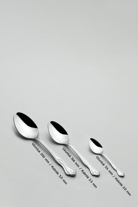 Nehir lalezar Satin 12 Place Setting 72 Piece Boxed Flatware Set - MALLTURK