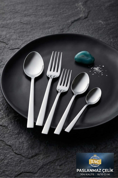 Tac felina viento 60 Piece 12 Place Setting Fork Spoon Set 18 10 Stainless Steel 304 kalite - MALLTURK
