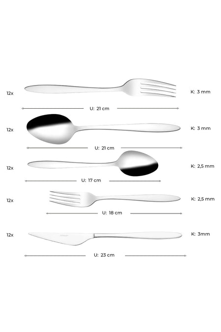 Emsan yakamoz 60 Piece 12 Place Setting Boxed Flatware Set - MALLTURK