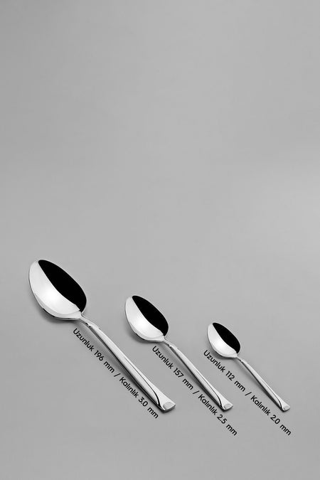 Nehir fiesta Satin 12 Place Setting 72 Piece Boxed Flatware Set