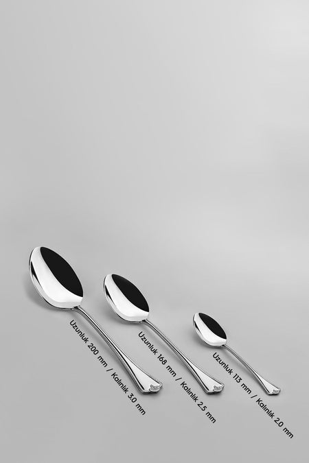 Nehir fulya Plain 6 Place Setting 30 Piece Boxed Fork Spoon Set - MALLTURK
