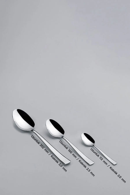 Nehir deniz Plain 12 Place Setting 60 Piece Boxed Fork Spoon Set - MALLTURK