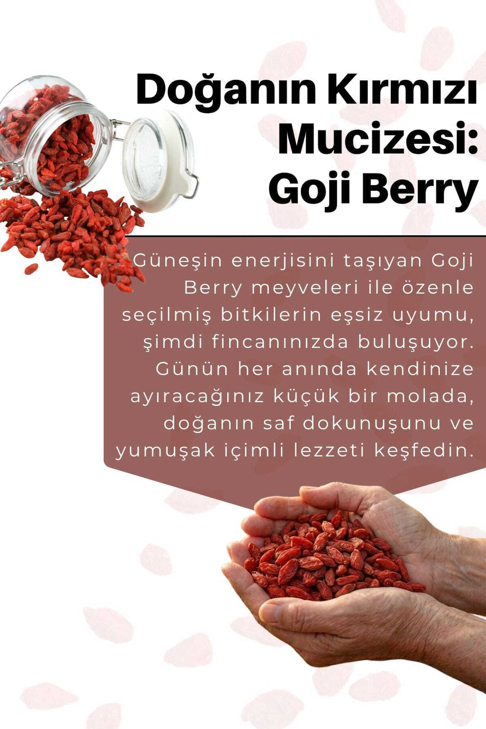 Nursima Goji Berry Herbal Blend Tea, 40 Filter Bags