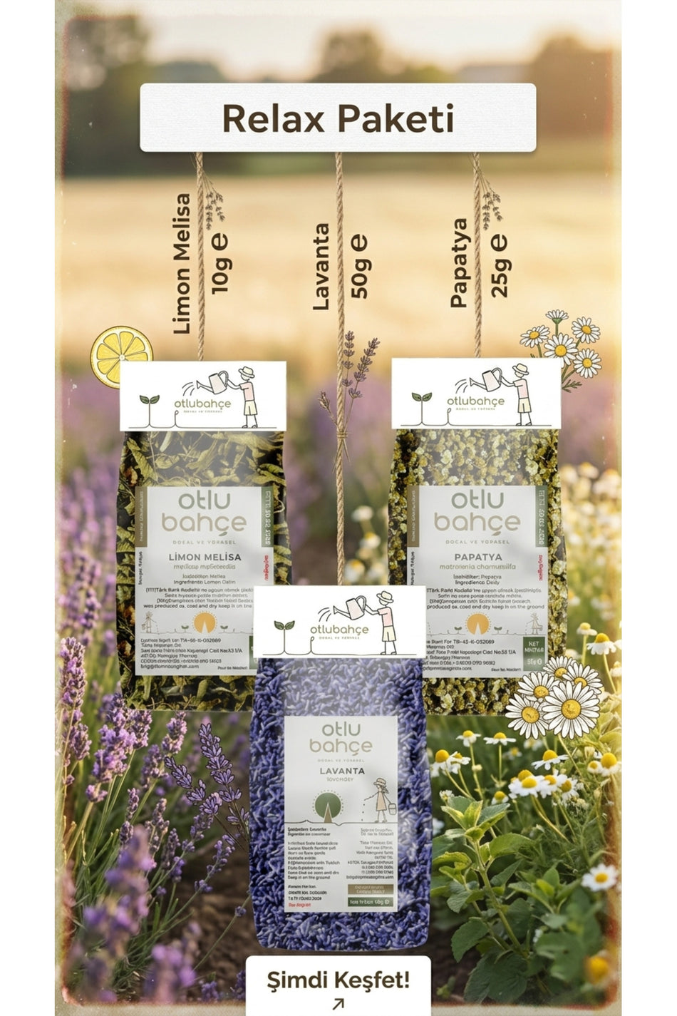Herbal Garden Relax Trio - Lavender, Lemon Balm, Chamomile