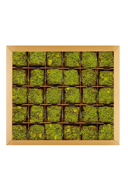 Cerez pazari deri kutuda kral Turkish Delight 500g Gluten Free Pomegranate Flavored Flavored spesiyal Pistachio - MALLTURK