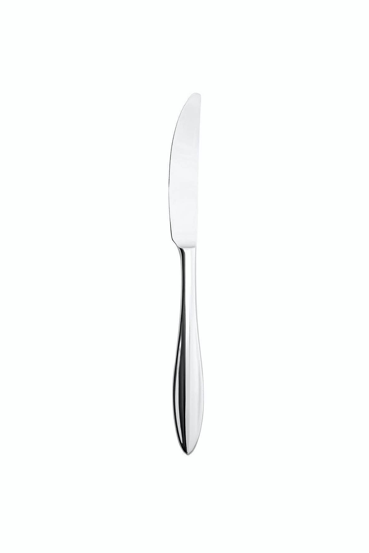 Karaca costa 60 Piece 12 Place Setting Flatware Set - MALLTURK